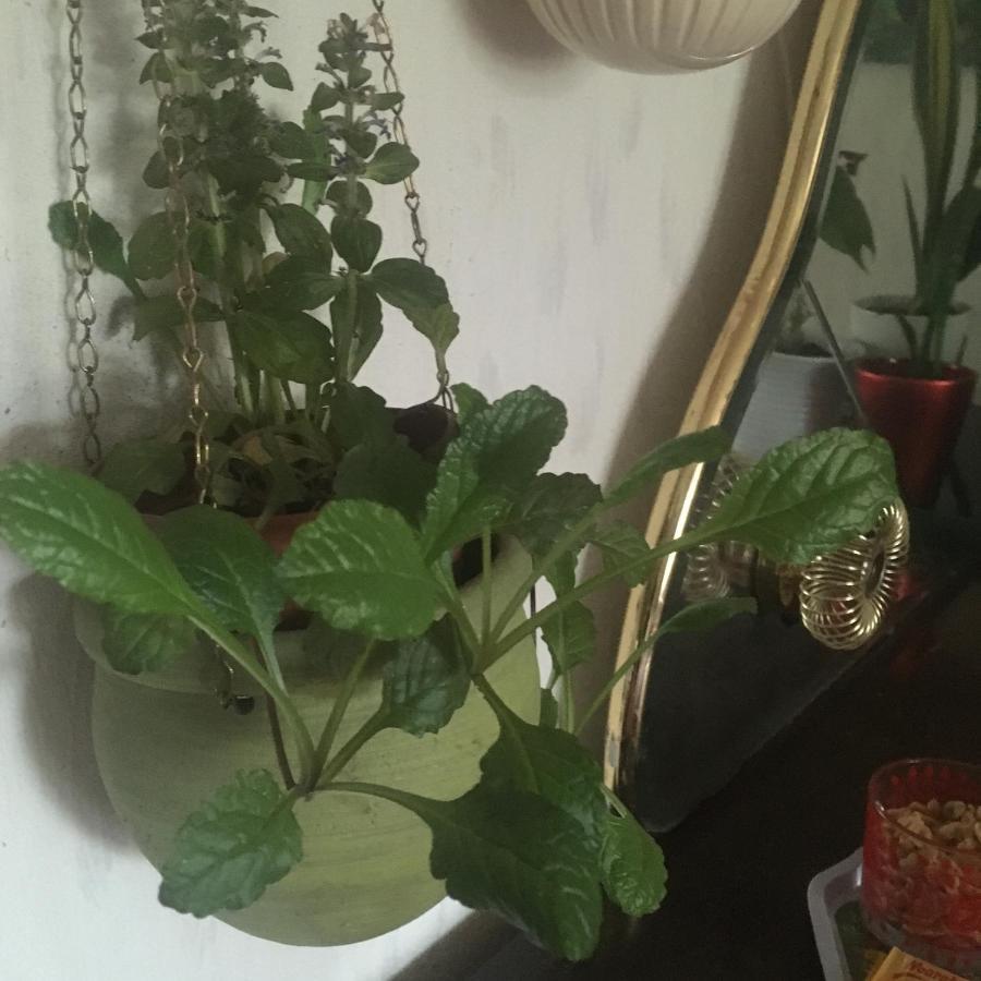 Arthome Smaland Ruda Bagian luar foto